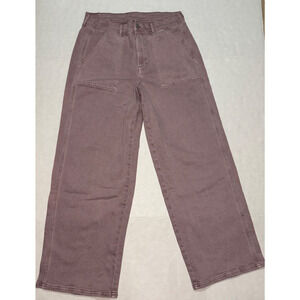 American Eagle Outfitters Straight Leg Pants in Mauve